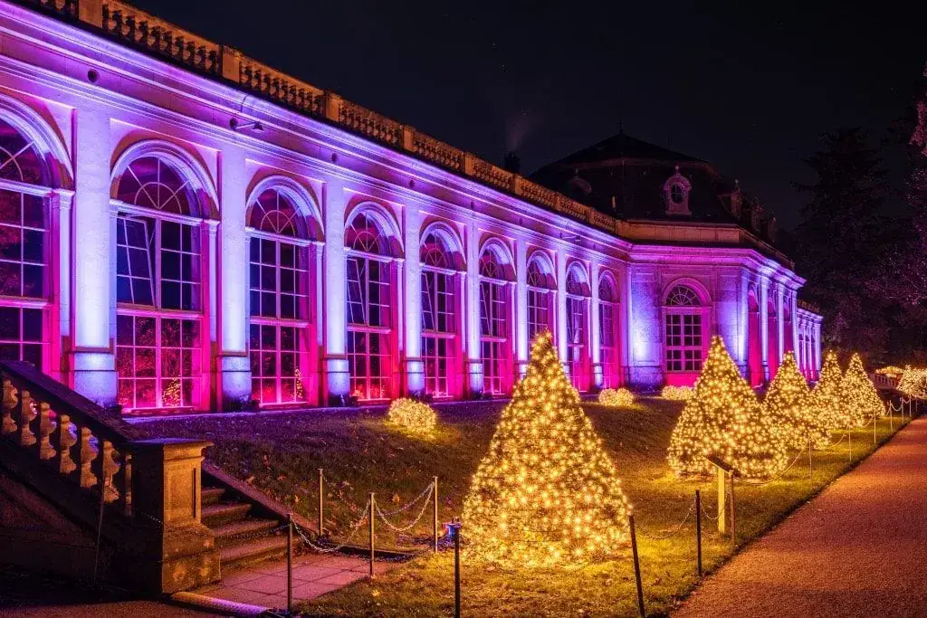 Christmas Garden