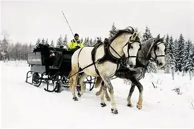Schlittenfahrt im Erzgebirge